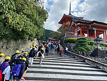 D563570cad57437f83035565ed8fc36c