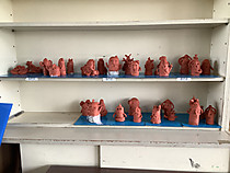 Bb0c0140f31f416b98abe36a67b52cb3