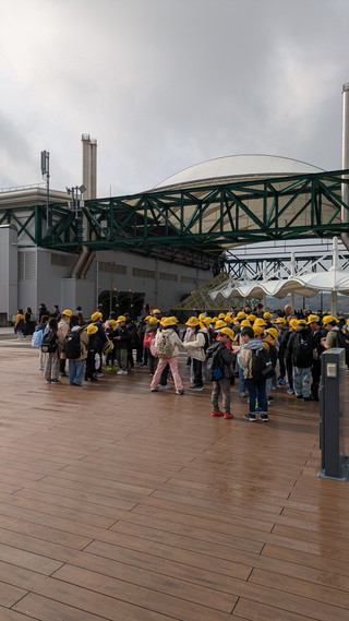 Pxl_20250203_011301903