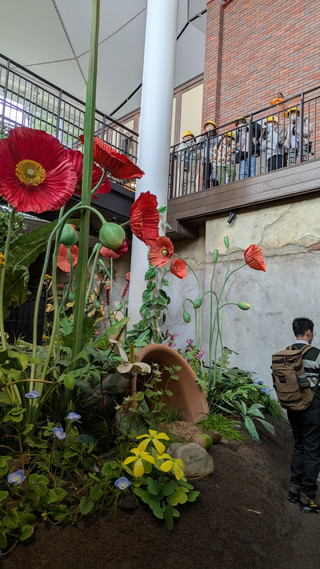 Pxl_20250203_014729477mp