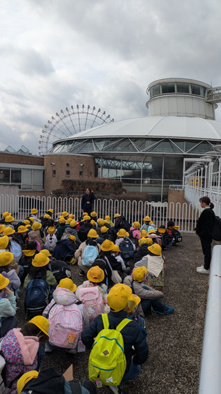 Pxl_20250203_033810970mp