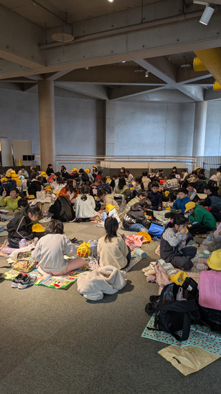 Pxl_20250203_034913172mp