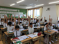 2204ba15172e4ddabdbeec9e9d80e950