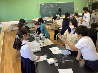 4cd58349aaa642ddaa5b0215bf3ca64e