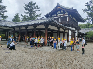 Img20250624110749 Img20250624110749