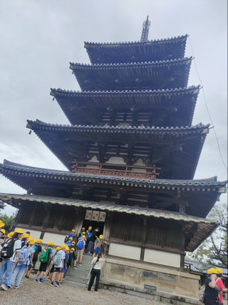 Img20250624110808 Img20250624110808