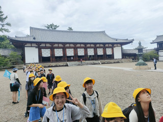 Img20250624110827 Img20250624110827