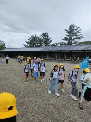 Img20250624110917 Img20250624110917