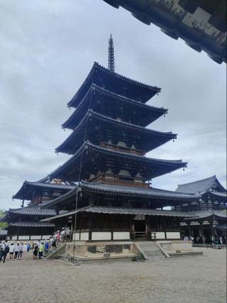 Img20250624111226 Img20250624111226