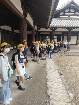 Img20250624111240 Img20250624111240