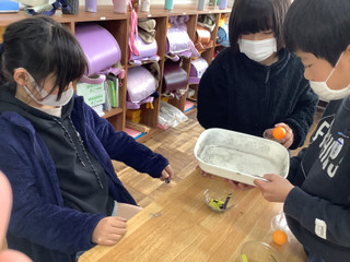 0bb4bfaeaad74205bb53e30b93d8f450