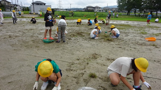 B4add851ae024c518ff10cf347e71021