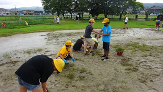 Ca449c810113462db75c87fa600468c9