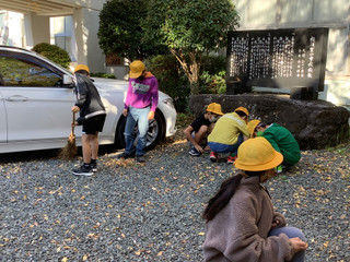 D6309d42d7354b96aed5013c9593bf5d