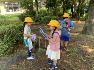 D2359f53c9344fb688eb8c46b535f5ff