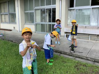 D46234f242704261b2df30db37e485b8