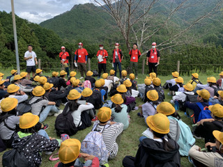 6f52119962d648aaa296739371de22df