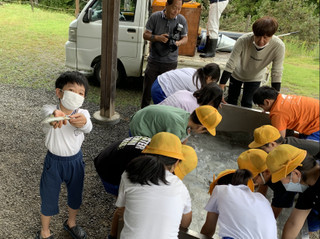 201baa713d86452d8b09b9848ef8cf92