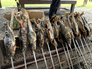 2aabfc9496644f50a1a009b4512450f5