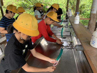 6bb0587ba3624dd1b2a0af0e9ee6b361