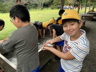 72e0be7febad43c59f42bcdb844a60e9