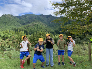 B241c16d59004c6ca7a5211775168405