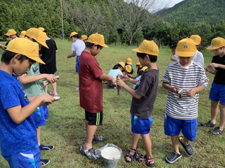 C8c0e5f2c3e14ed989dbde3bc5f91bbb