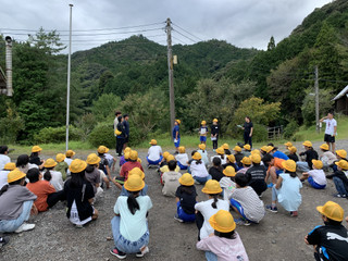 Fb1cdb7cca314737a04675111d0a980f