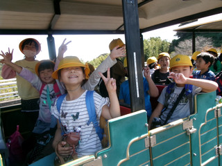 3c8b05afc7df4dfead04ece91677b206