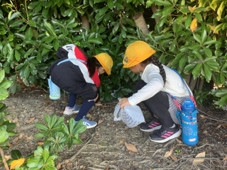 796a78af1ac04aafb8c3c266e8ec2ab5