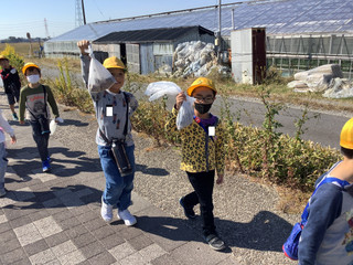 Ff98cd3729954b178432ed3e5ef56cba