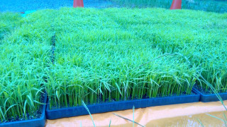 Win_20230531_07_16_01_proresize