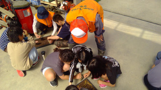 Win_20260507_09_39_41_pro