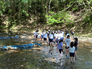 Img_0113 Img_0113