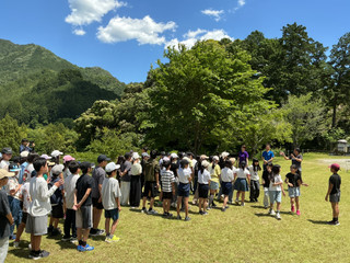 Img_0213 Img_0213