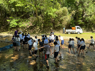Img_0545 Img_0545