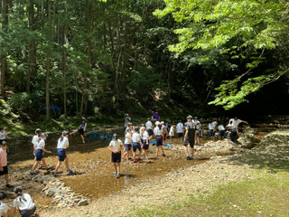 Img_0560 Img_0560