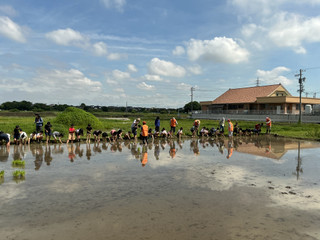 Img_0161 Img_0161