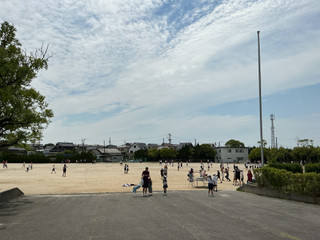 Img_0177 Img_0177