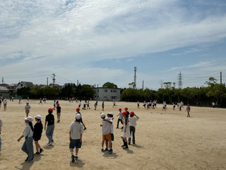 Img_0178 Img_0178