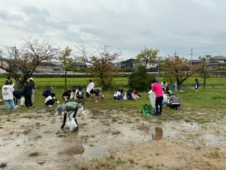 Img_0381 Img_0381
