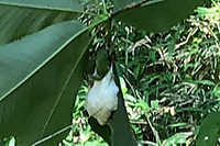 1efe95ec5a0b4f8a9b74a306c6d29c91