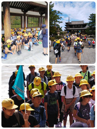 191007113114080_deco