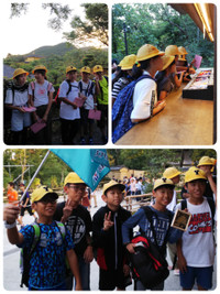 191007170900051_deco