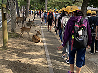 50dc2d88625d4a8aa18c0e8fa40deb29