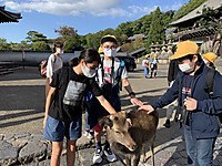 809424ee75ed40458b9d51ab8dea8011