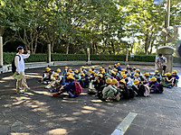 11de0713e15f4353bb960e51a7f5febf