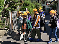 71290f5ee5bf4ab48299812c2a865289