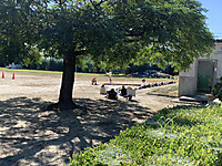 77511418cdbe43ceb01fedad7cf92dd3