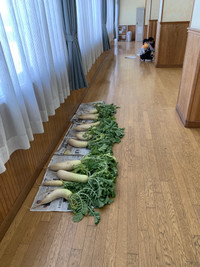 F6ff39aeaba5441d84f40c7a6d03a2dd